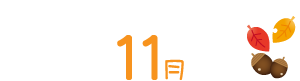 11